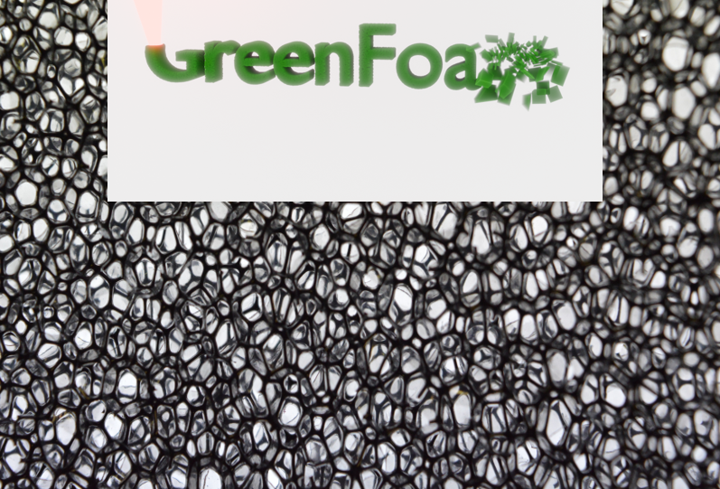  GreenFOAM 